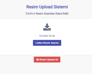 Resim-Upload-Sistemi-320×260