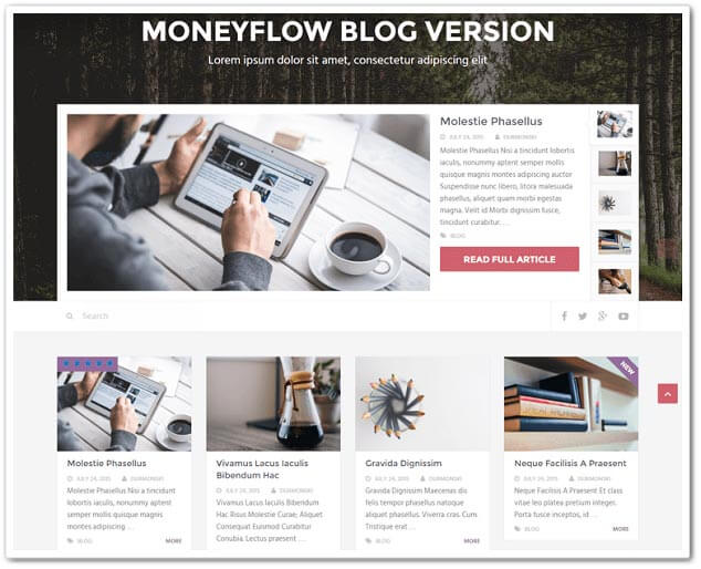 wordpress-blog-temasi-moneyflow